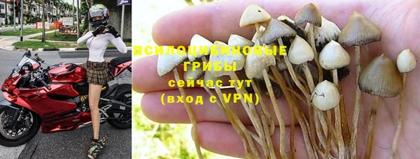 МДПВ Белокуриха