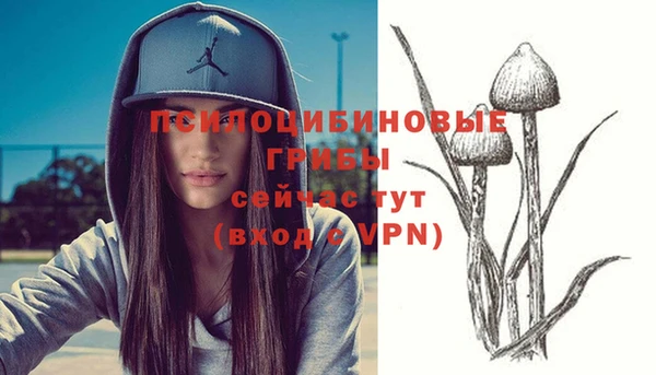 крисы Белоозёрский