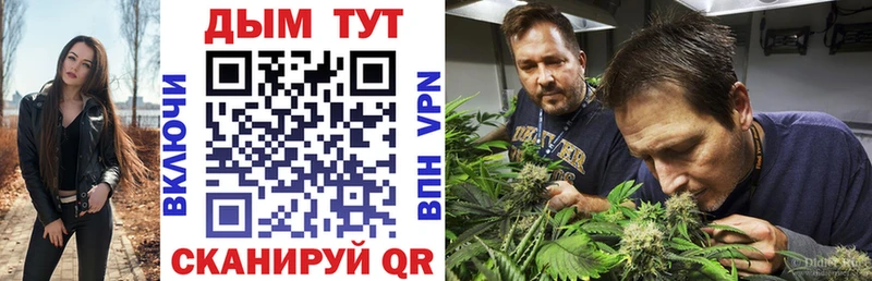 Бошки Шишки план  Купить закладки  Балей 